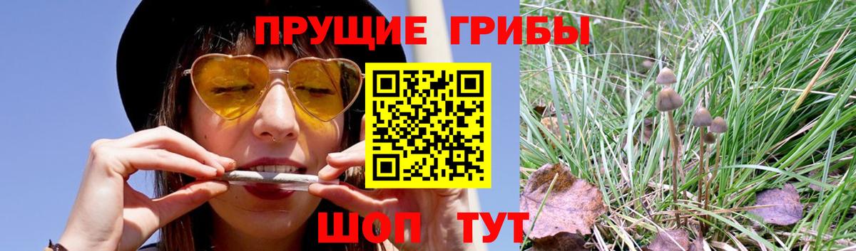 Каменка  Галлюциногенные грибы Magic Shrooms  Псилоцибиновые грибы мухоморы  Вход с VPN 